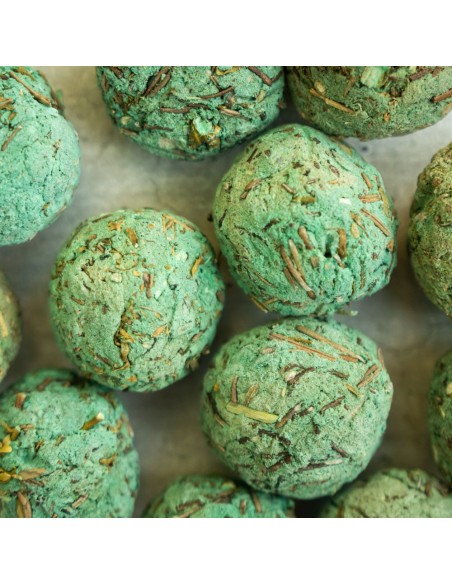 BOMBITA X8 LIMPIEZA ENERGETICA