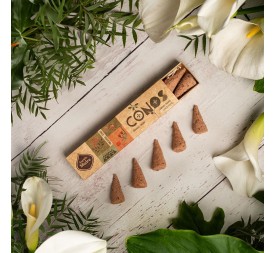 CONOS DE SANDALO - YAGRA