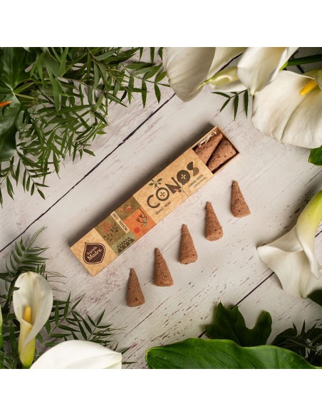 CONOS DE SANDALO - YAGRA