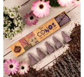 CONOS DE LAVANDA Y VIOLETAS
