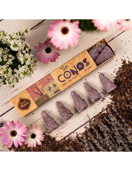 CONOS DE LAVANDA Y VIOLETAS