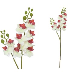 VARA ORQUIDEA X 10 R/TOUCH-63 CM(CREMA)