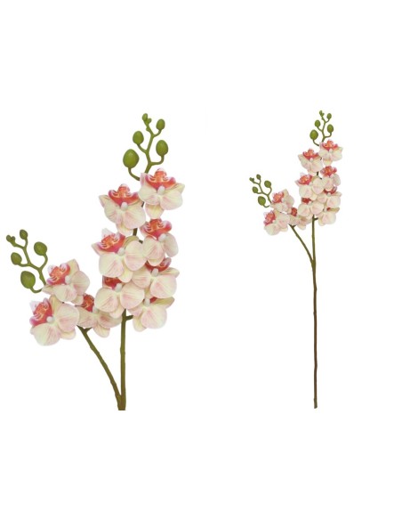 VARA ORQUIDEA X 10 R/TOUCH-63 CM(TE)