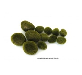 MOSS (12 PIEDRAS) (4420-09)