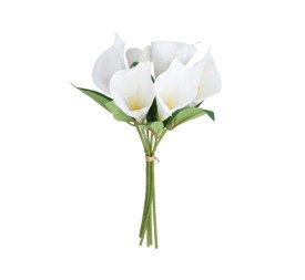 ATADO CALAS X 6 - 35 CM (BLANCO)