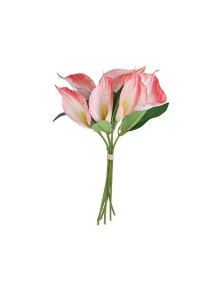 ATADO CALAS X 6 - 35 CM (ROSA)