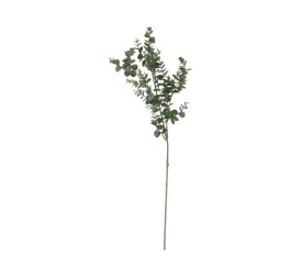 VARA EUCALIPTO PLAS X 5 -81 CM (VD/CL)