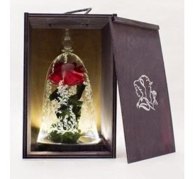 CAJA ESTUCHE *SIN CUPULA*