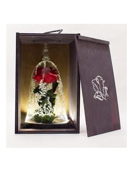 CAJA ESTUCHE *SIN CUPULA*