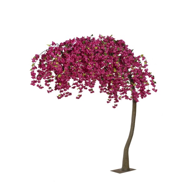 ARBOL BUGANVILLEA 300 CM (ARCO)