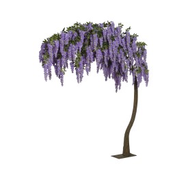 ARBOL WISTERIA  ARQUEADA 300 CM