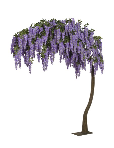 ARBOL WISTERIA  ARQUEADA 300 CM