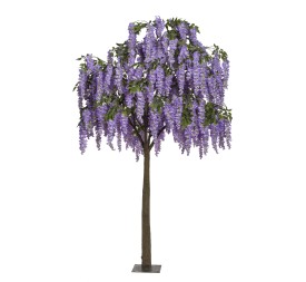 ARBOL WISTERIA CM 300