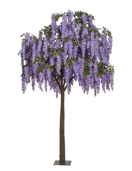 ARBOL WISTERIA CM 300