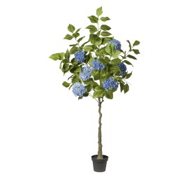 ARBOL HORTENSIA AZUL  EN MACETA 180 CM