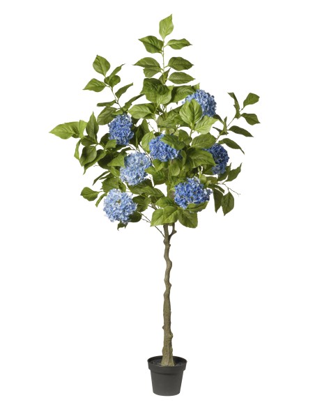 ARBOL HORTENSIA AZUL  EN MACETA 180 CM