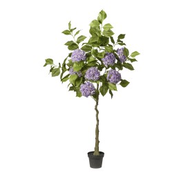 ARBOL HORTENSIA LILA  EN MACETA 180 CM