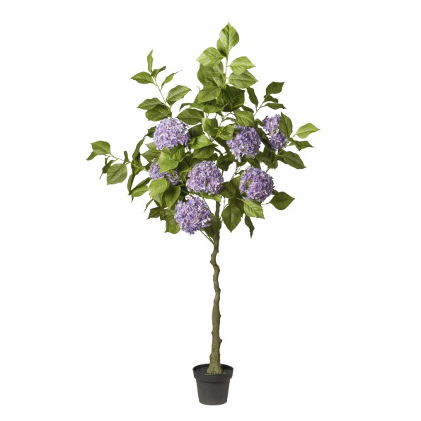 ARBOL HORTENSIA LILA  EN MACETA 180 CM