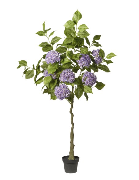 ARBOL HORTENSIA LILA  EN MACETA 180 CM