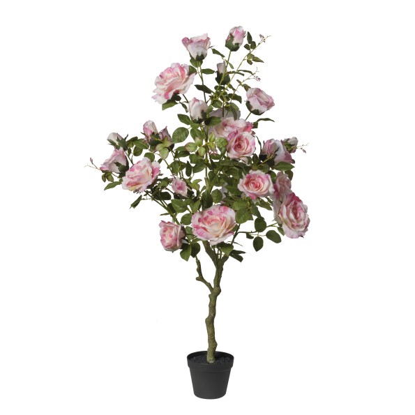 ARBOL DE ROSAS ROSA  X27 EN MACETA 126 CM