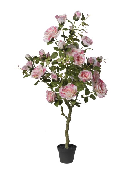 ARBOL DE ROSAS ROSA  X27 EN MACETA 126 CM