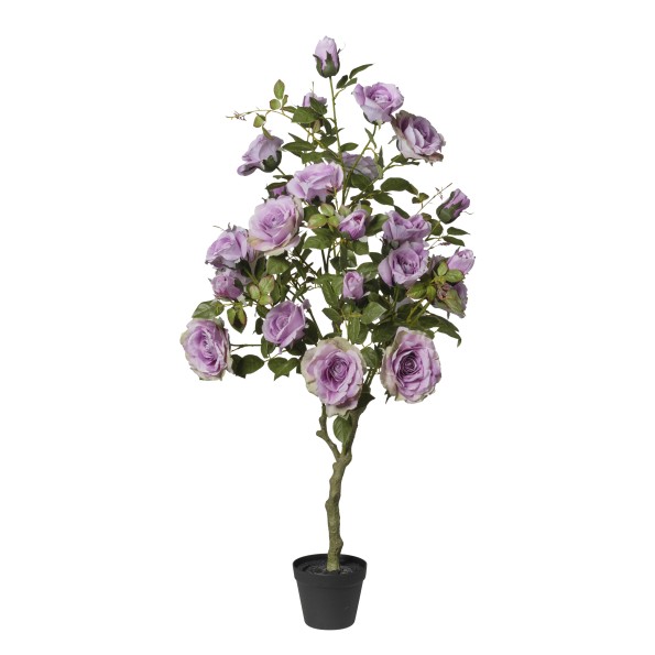 ARBOL DE ROSAS LILAS X27 EN MACETA 126 CM