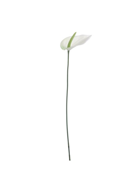 ANTHURIUM MINI 48 CMS (1203-01)