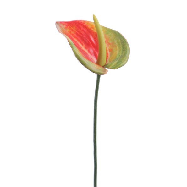ANTHURIUM MINI 48 CMS (1203-28)