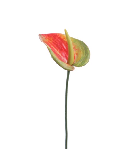 ANTHURIUM MINI 48 CMS (1203-28)