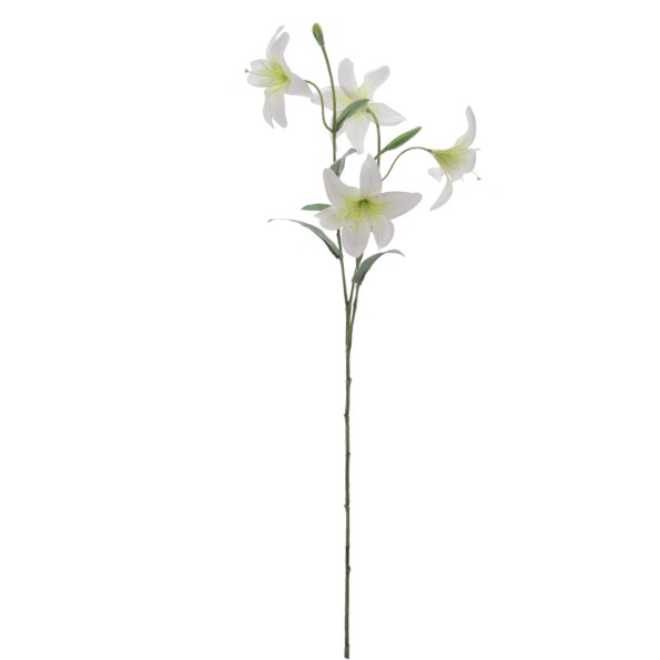 LILIUM MINI X 4 74 CMS   1212-01