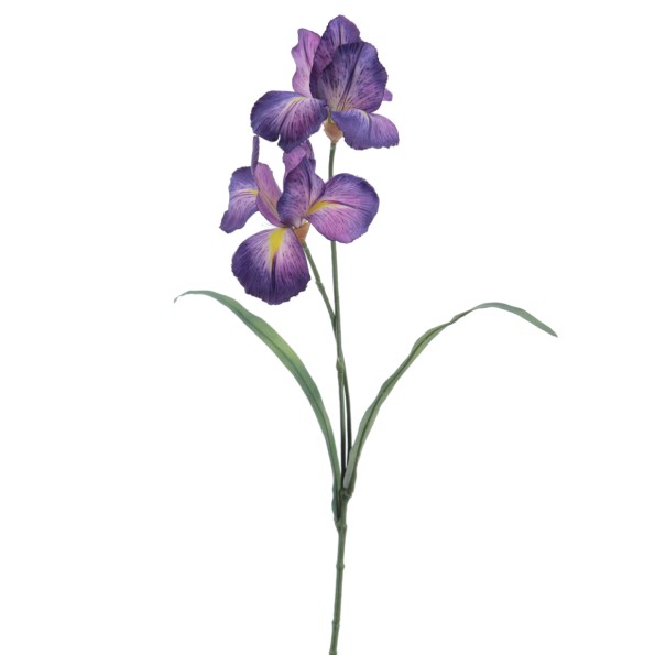 IRIS (1213-16)