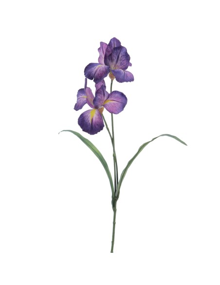 IRIS ALT 55 D12 CMS   1213-16