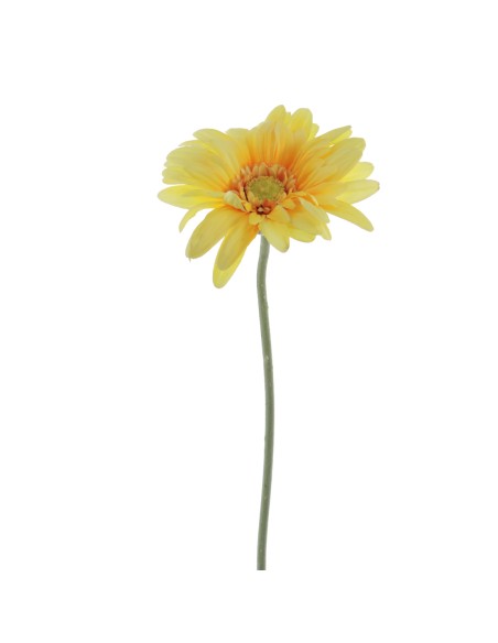 GERBERA (1408-02)