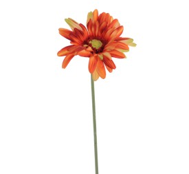 GERBERA (1408-15)