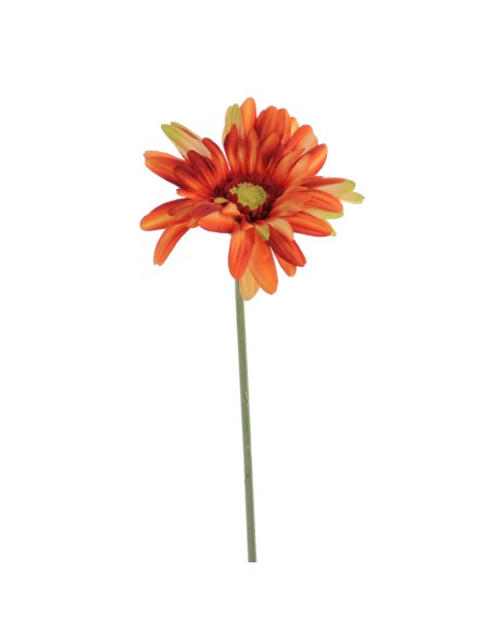 GERBERA (1408-15)