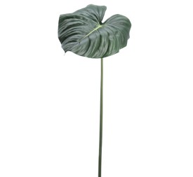 ALOCASIA REAL TOUCH (2740-09)
