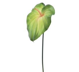 ANTHURIUM REAL TOUCH (2742-09)