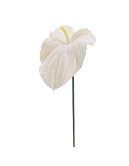 ANTHURIUM REAL TOUCH (2742-11)