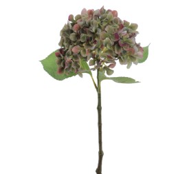 HYDRANGEA (2762-09)