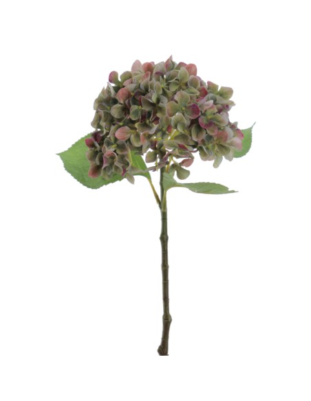 HYDRANGEA (2762-09)