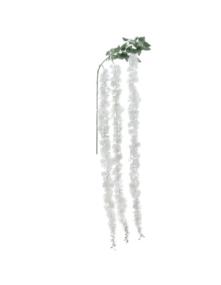 WISTERIA (2770-01)