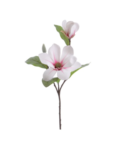 MAGNOLIA (4331-54)
