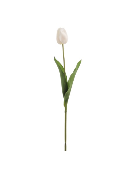 TULIPAN REACH TOUCH (6942-01)