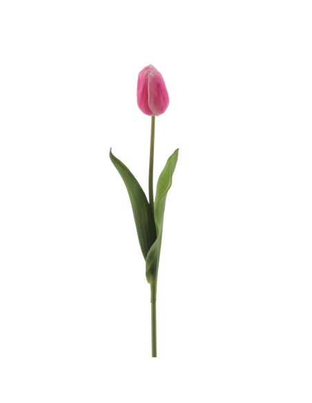 TULIPAN REACH TOUCH (6942-07)