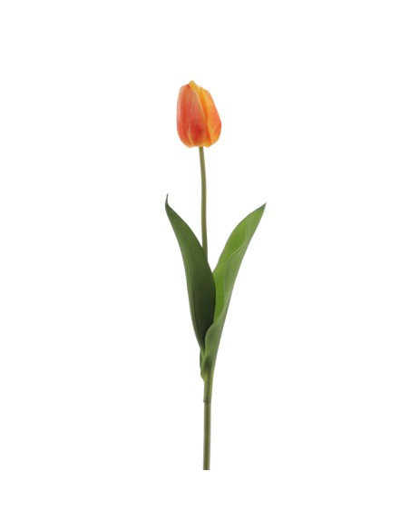 TULIPAN REACH TOUCH (6942-15)