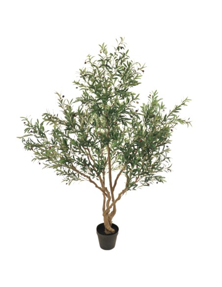 OLIVO 2,40 MTS (7599-09)