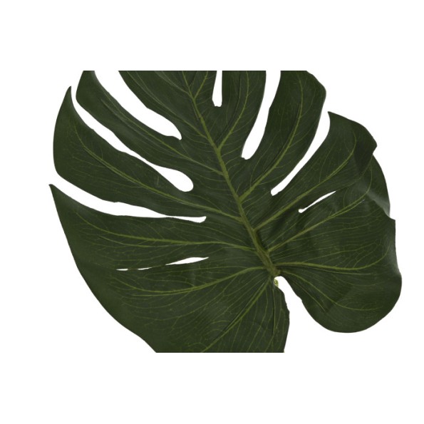 HOJA PE 25X0,5X67 MONSTERA VERDE