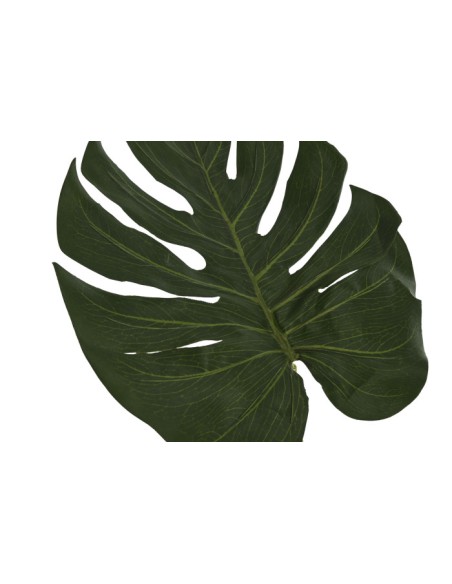 HOJA PE 25X0,5X67 MONSTERA VERDE