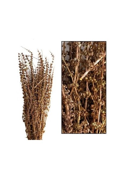 PALMA GRASS NATURE 50-65cm 100gr