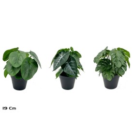 MACETA 14 LVS REAL TOUCH-19 CM MOD-A (S)